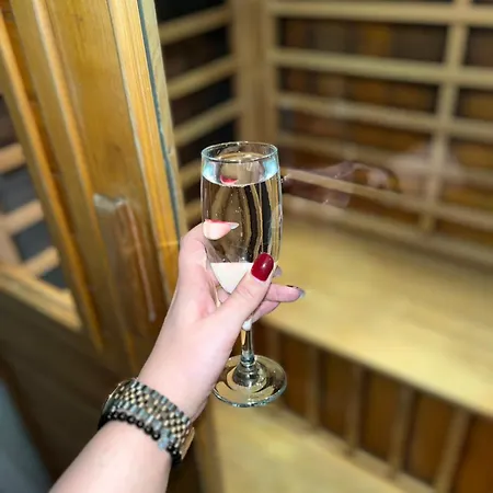 דירה Stan Sa Saunom נובי סאד